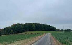 2e7ed835-e392-4a8c-9654-53c7531a51ef