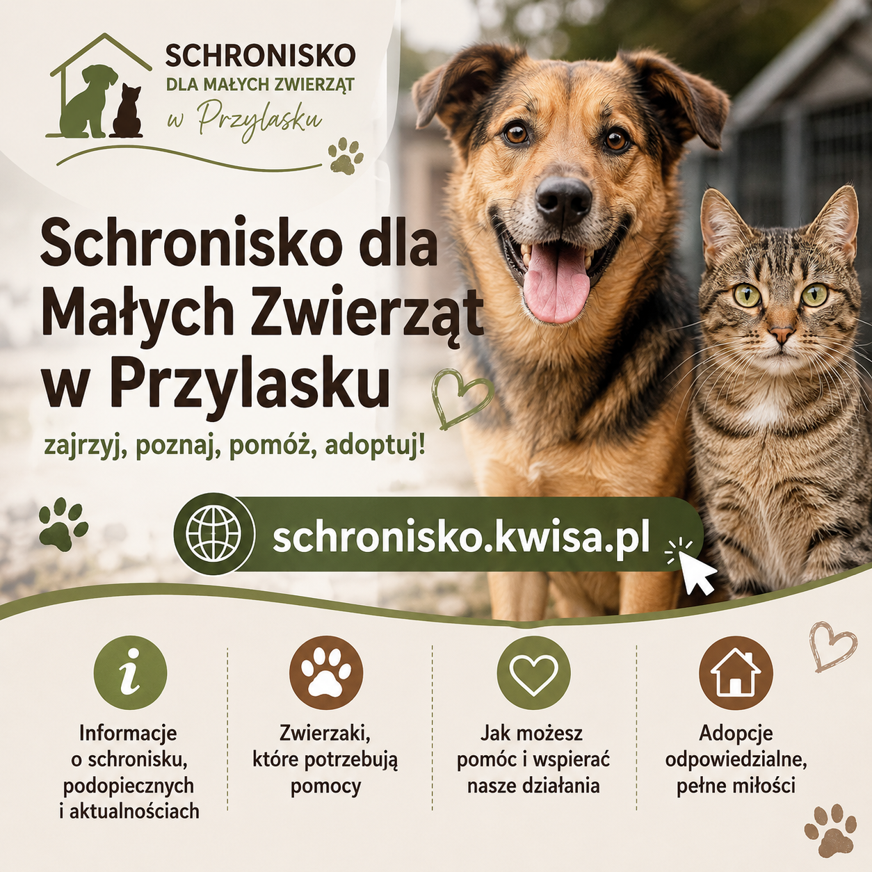 Zdjęcie przedstawia dane schroniska oraz&nbsp;grafikę prezentującą psa i&nbsp;kota