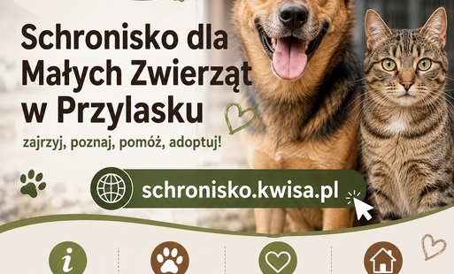 Zdjęcie przedstawia dane kontaktowe do schroniska oraz grafikę prezentującą psa i kota